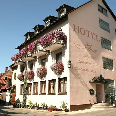 Hotel Ebner Bad Konigshofen im Grabfeld Exterior photo